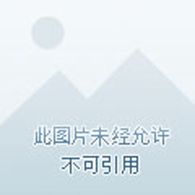 软件开发与时俱进:昆明的新兴科技力量
